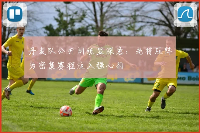 丹麦队公开训练显深意,老将压阵为密集赛程注入强心剂 - 虎扑体育推荐