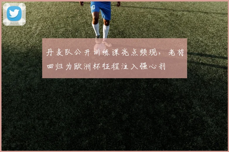 丹麦队公开训练课亮点频现,老将回归为欧洲杯征程注入强心剂 - 虎扑体育推荐