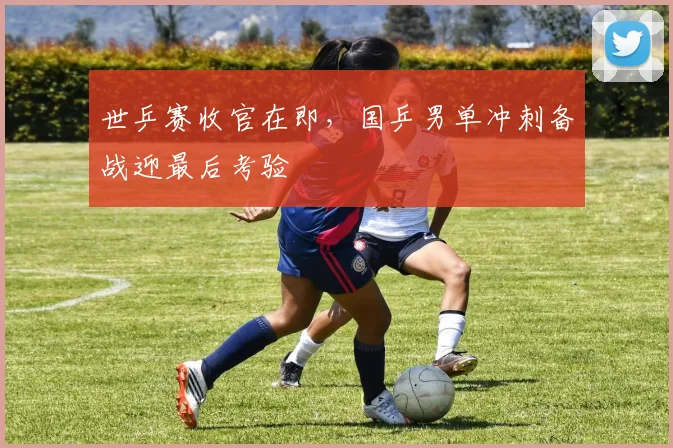 世乒赛收官在即,国乒男单冲刺备战迎最后考验 - 虎扑体育推荐
